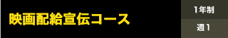 映像ディレクター